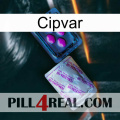 Cipvar 37